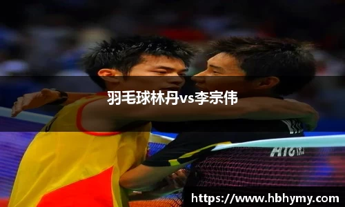 羽毛球林丹vs李宗伟