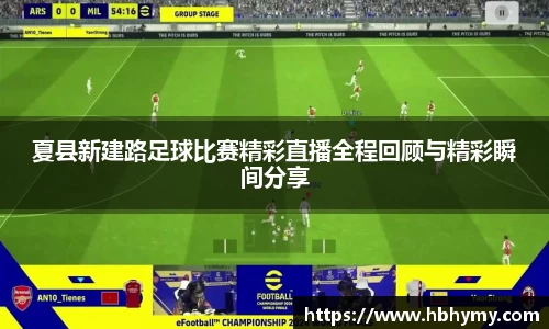 安信15娱乐