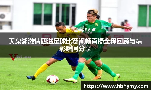 安信13娱乐